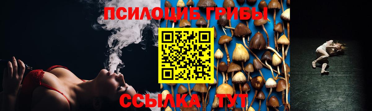 сколько стоит  Псилоцибиновые грибы MAGIC MUSHROOMS  Вход с VPN  Вязники 