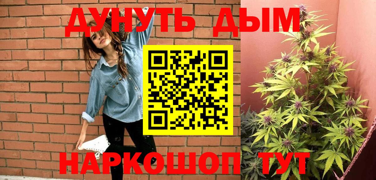 Конопля White Widow  Вход с VPN  Шишки марихуана OG Kush  Вязники  Канабис конопля 